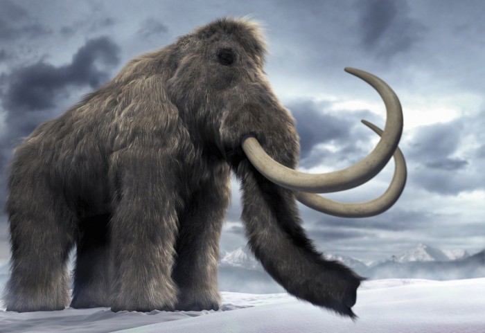 ¿Revivir a los mamuts, un experimento crucial para salvar el mundo?