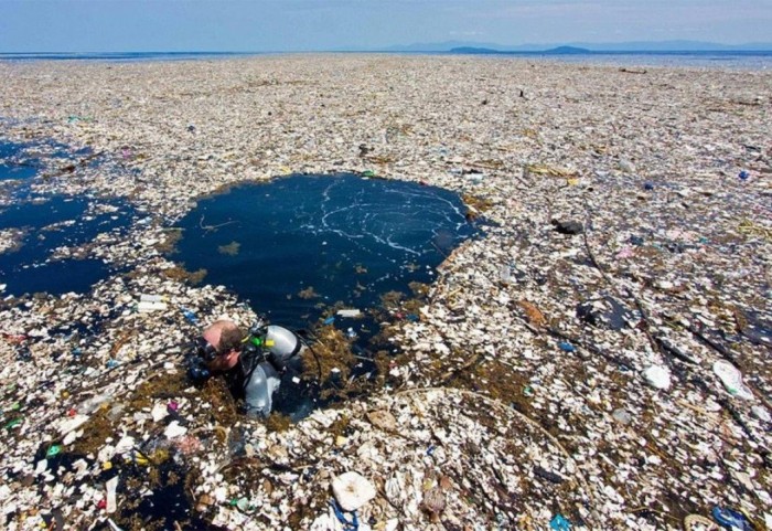 ¿Existe una isla de basura y plástico en el océano Pacífico?