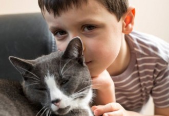 ¿Puede una gata salvar a un niño del ataque de un perro?