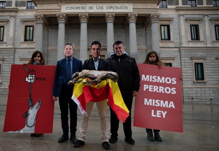 La protesta contra la nueva medida de Pedro Sánchez: quiere excluir a los perros de caza de la Ley de Protección Animal