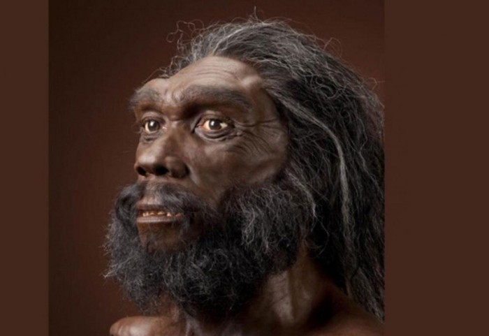 ¿Cómo peleaban los humanos prehistóricos?