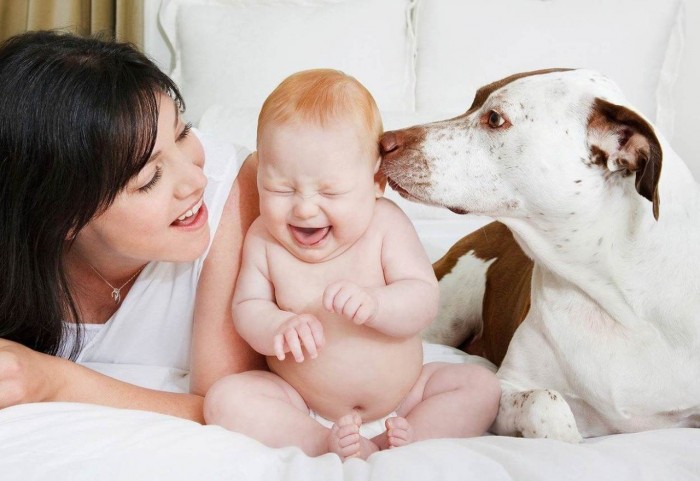 Divertidos perros jugando con bebés: tienen una risa contagiosa y cuando los perros los oyen no paran de jugar