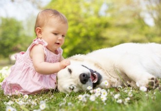 ¿Hay algo más tierno y emotivo que ver a un bebé jugando con su mascota?